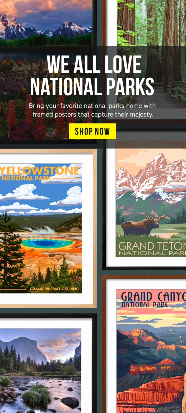 We All Love National Parks! Bring your favorite national parks home with framed posters that capture their majesty.