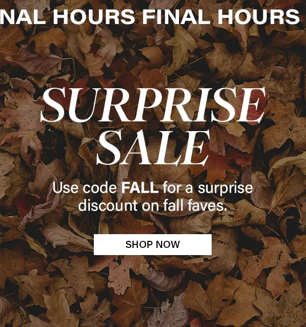 Final Hours Surprise Sale
