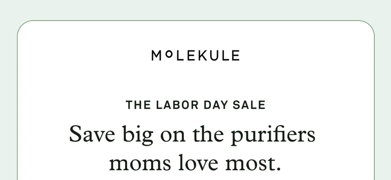 The Labor Day Sale is on: Save big on the purifiers moms love most