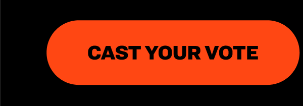 Cast Your Vote