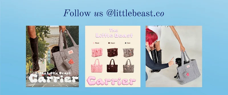 Follow us on Instagram