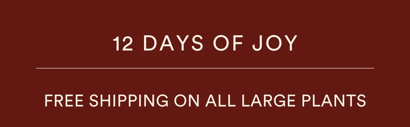free shipping on all large plants!