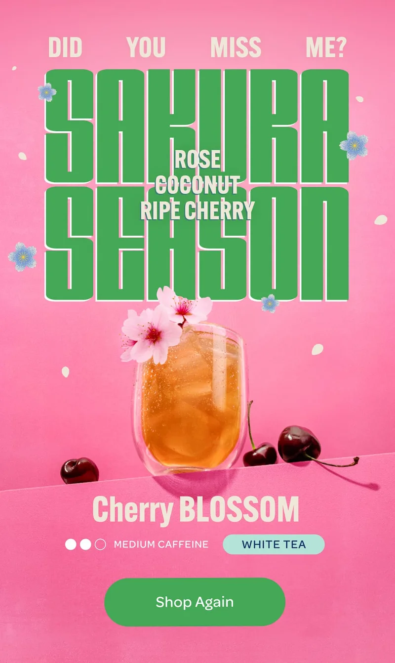 Cherry Blossom