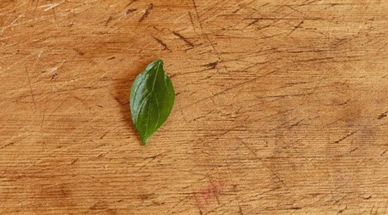 GIF β Nature Art for Kids GIF β Nature Art for Kids