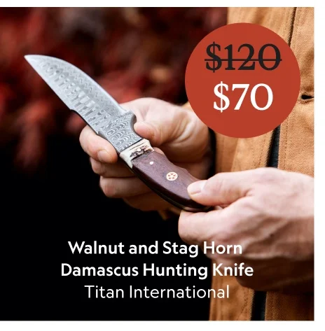 Titan International