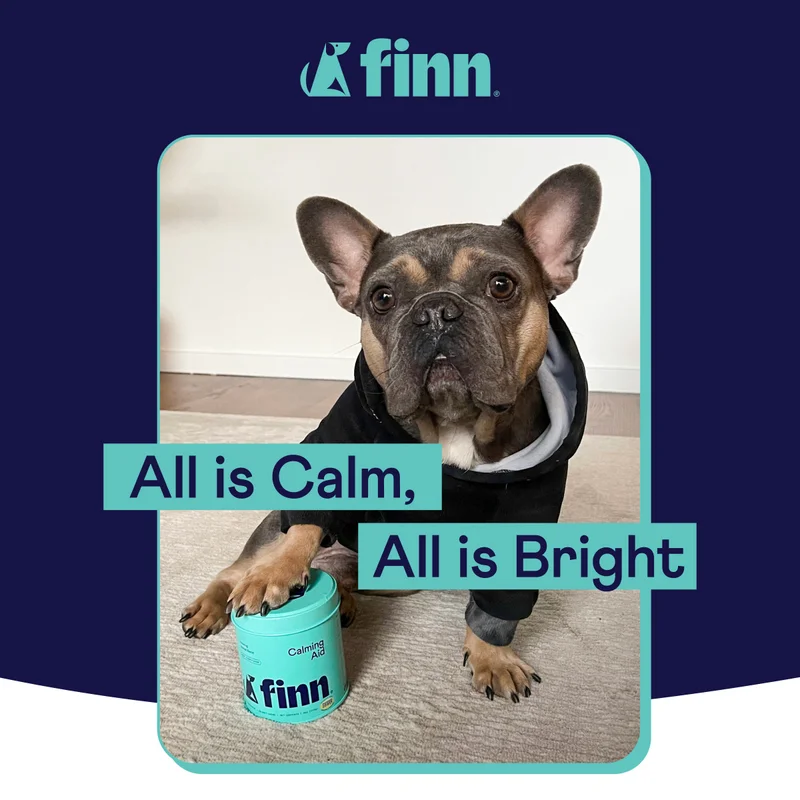 Finn Calming Aid: All is Calm, All is Bright