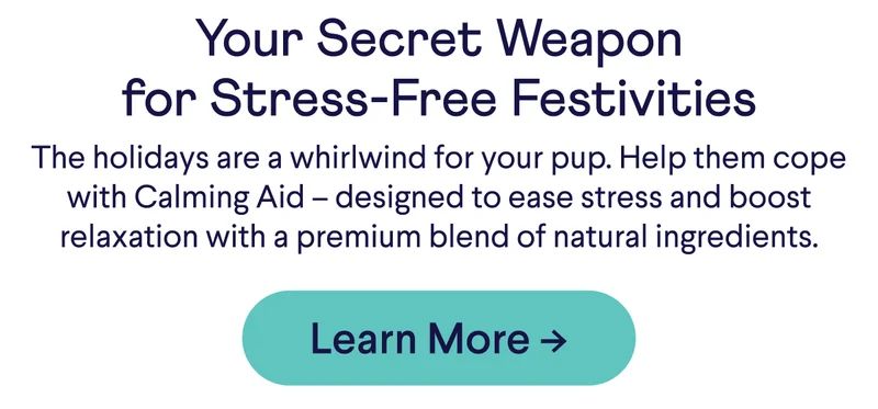Your Secret Weapon for Stress-Free Festivities The holidays are a whirlwind for your pup. Help them cope with Calming Aid – designed to ease stress and boost relaxation with a premium blend of natural ingredients. Learn More –>