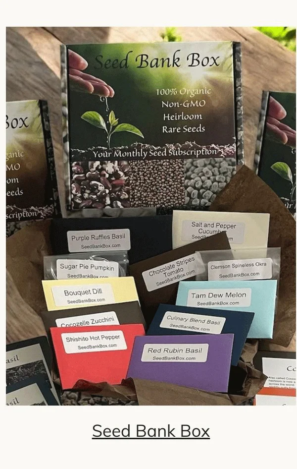 Seed Bank Box