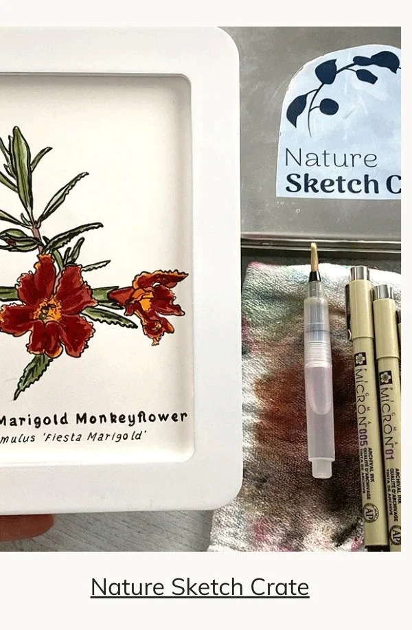 Nature Sketch Crate