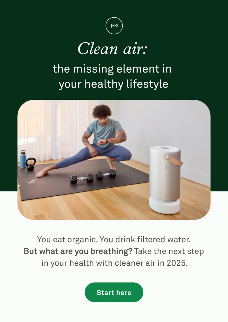 Clean air: the missing element in your healthy lifestyle