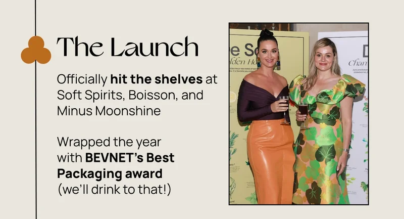 The Launch