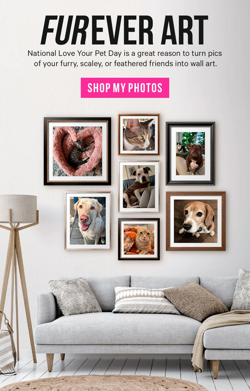 Furever Art: National Love Your Pet Day is a great reason to turn pics of your furry, scaley, or feathered friends into wall art.