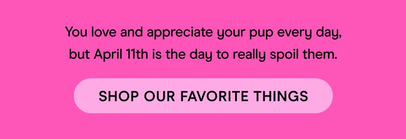 Shop Favorites