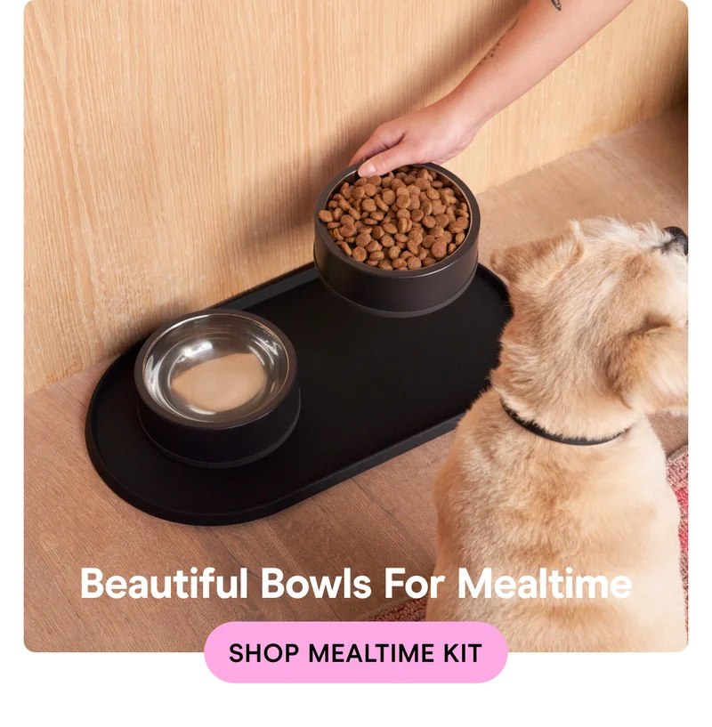 Shop Mealtime Kit