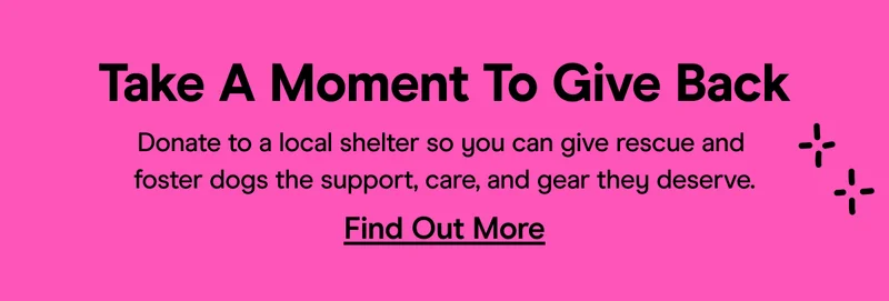 Give Back