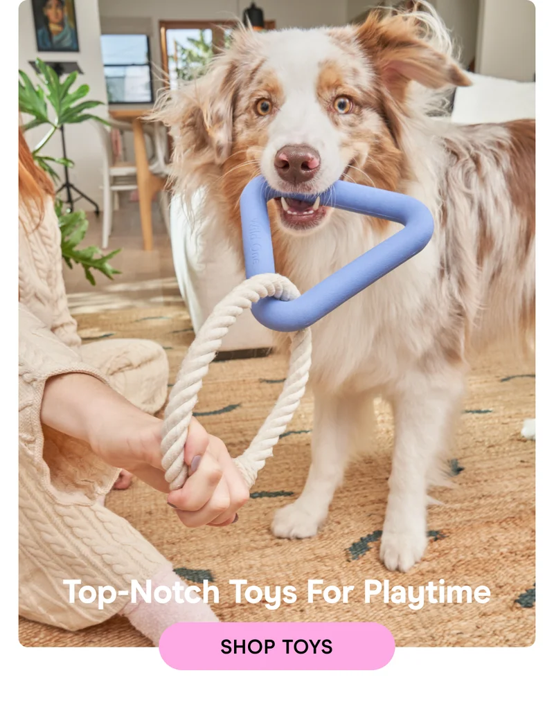 Shop Toys
