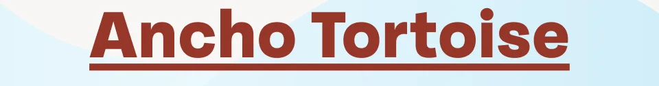 Ancho Tortoise