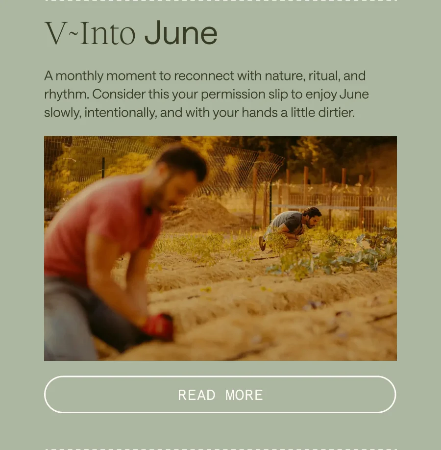 V-Into June