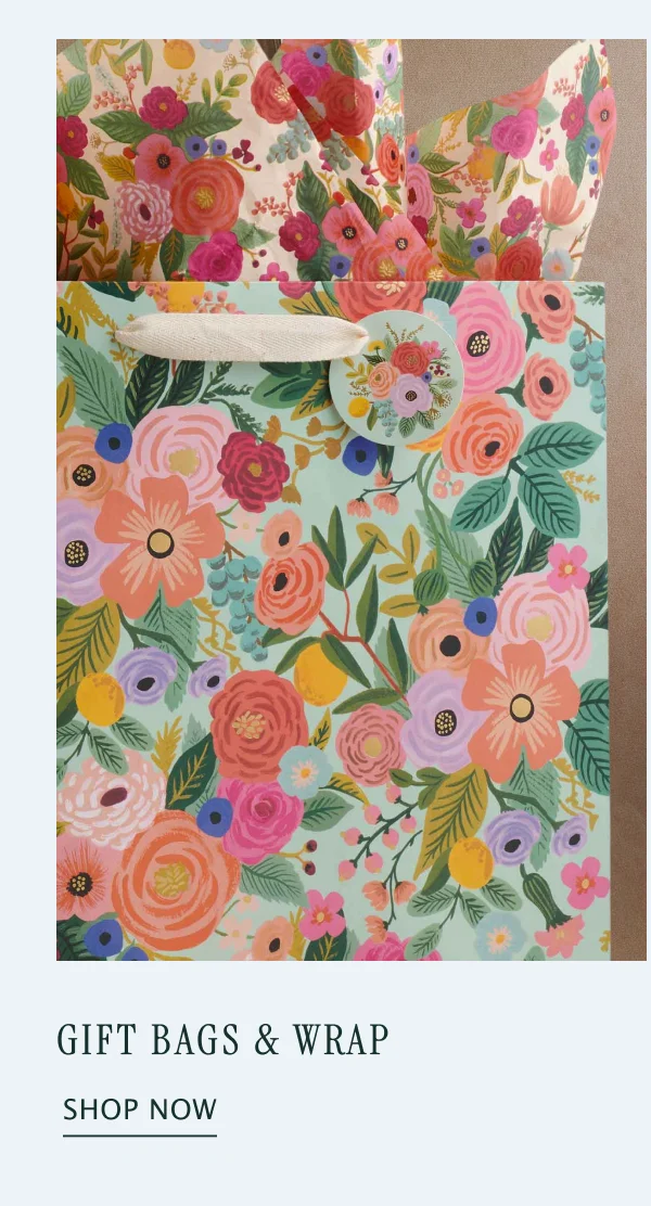 Shop Mother's Day Gift Bags & Wrap