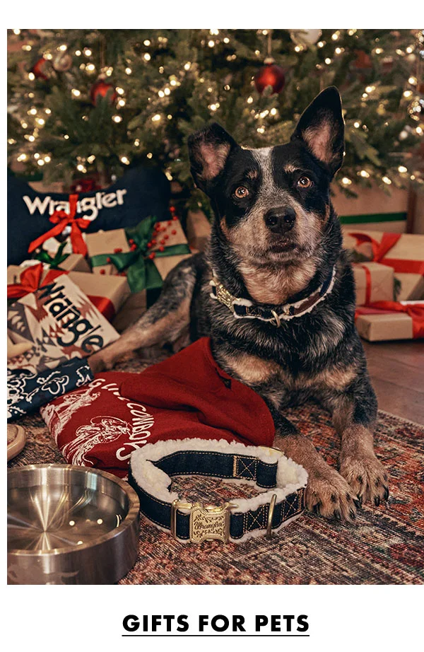 Gifts For Pets
