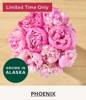 Flowers At a Great Price