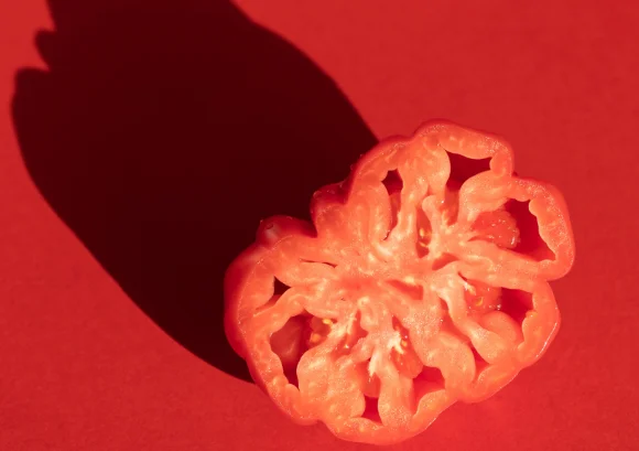 A sliced tomato