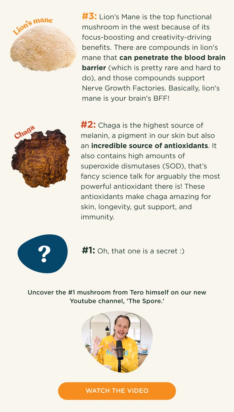 #3: Lion’s Mane is the top functional mushroom in the west because of its focus-boosting and creativity-driving benefits. There are compounds in lion's mane that can penetrate the blood brain barrier (which is pretty rare and hard to do), and those compounds support Nerve Growth Factories. Basically, lion's mane is your brain's BFF! #2: Chaga is the highest source of melanin, a pigment in our skin but also an incredible source of antioxidants. It also contains high amounts of superoxide dismutases (SOD), that’s fancy science talk for arguably the most powerful antioxidant there is! These antioxidants make chaga amazing for skin, longevity, gut support, and immunity. #1: Oh, that one is a secret :) Uncover the #1 mushroom from Tero himself on our new Youtube channel, 'The Spore.' - WATCH THE VIDEO