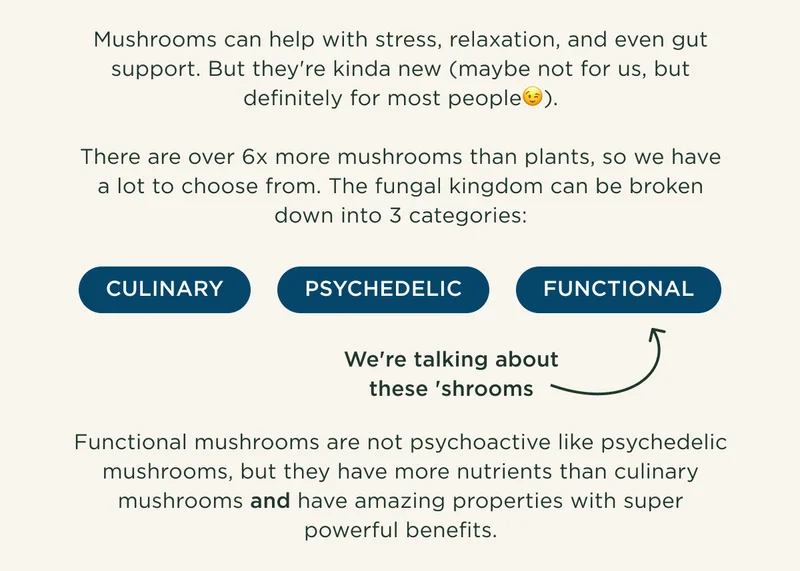 Mushrooms can help with stress, relaxation, and even gut support. But they're kinda new (maybe not for us, but definitely for most people😉).  There are over 6x more mushrooms than plants, so we have a lot to choose from. The fungal kingdom can be broken down into 3 categories: CULINARY, PSYCHEDELIC, FUNCTIONAL (We're talking about these 'shrooms). Functional mushrooms are not psychoactive like psychedelic mushrooms, but they have more nutrients than culinary mushrooms and have amazing properties with super powerful benefits.