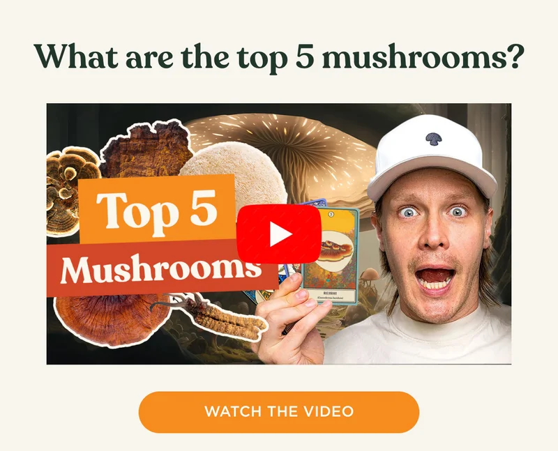 What are the top 5 mushrooms? - WATCH THE VIDEO