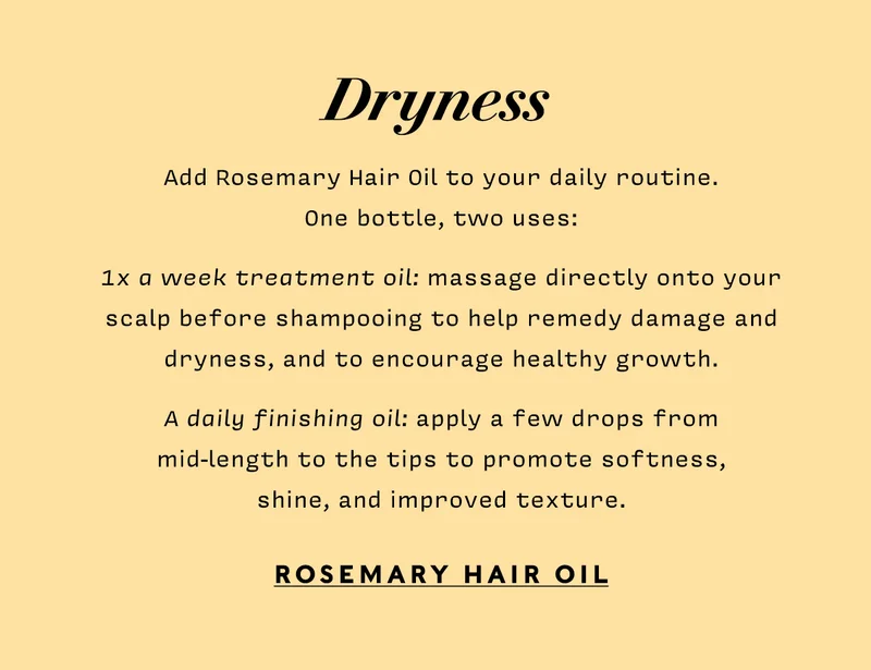 DRYNESS Add Rosemary Hair Oil to your daily routine. One bottle, two uses:  1x a week treatment oil: massage directly onto your scalp before shampooing to help remedy damage and dryness, and to encourage healthy growth.   A daily finishing oil: apply a few drops from mid-length to the tips to promote softness, shine, and improved texture.  ROSEMARY HAIR OIL