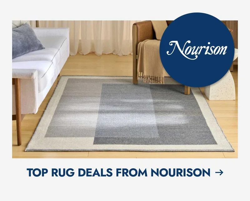 Top rug deals from Nourison