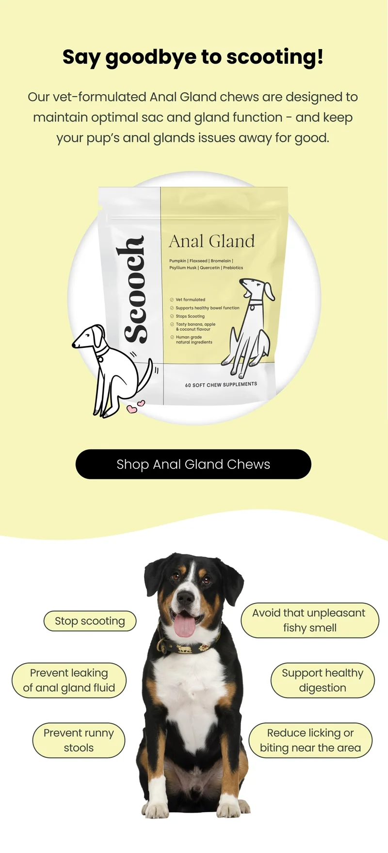 Shop Anal Gland Chews