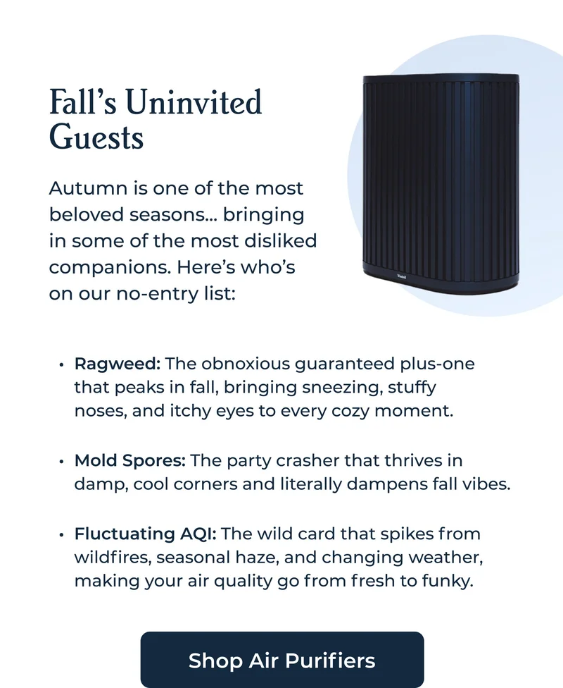 The Freshest Bundle Up to $542 Off Get clean, cool, and cohesive air care no matter the season with our top 3 products designed to work seamlessly together.  AC, Air Purifier, and Fan Bundle