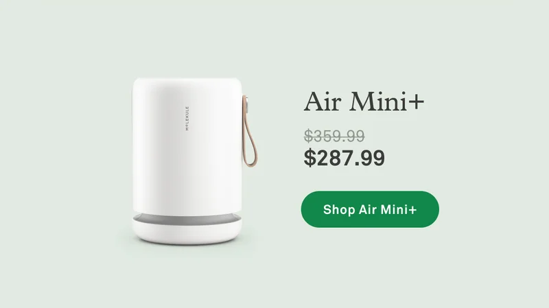 Air Mini+