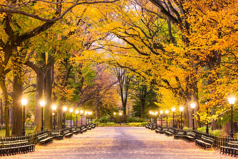 Central Park in fall