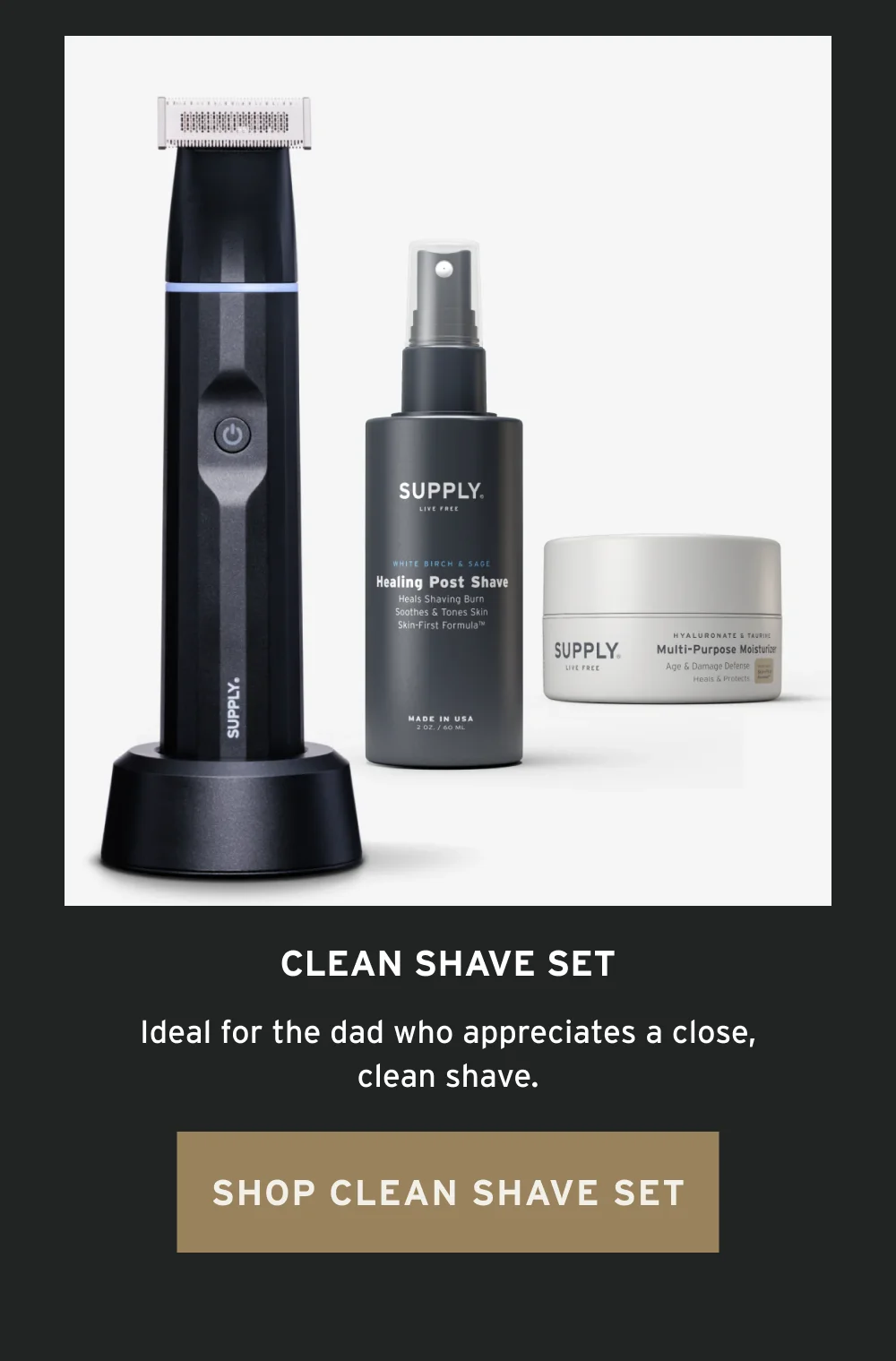 Clean Shave set