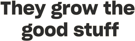 They grow the good stuff