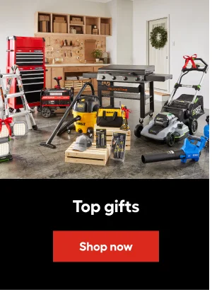 Top gifts