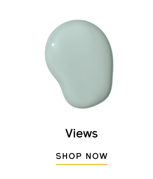 Views SHOP NOW