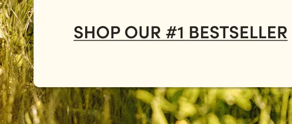 #1 best seller