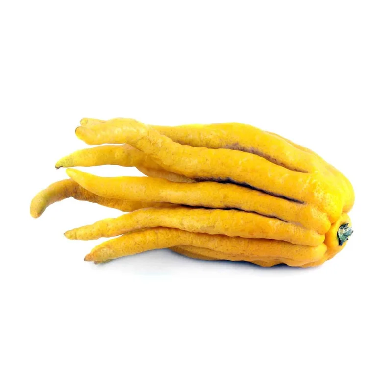 Organic Buddha's Hand