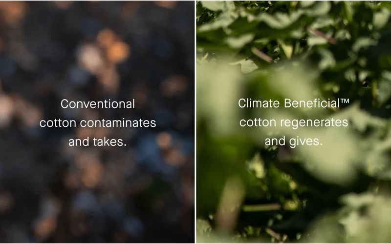Conventional cotton contaminates and takes.