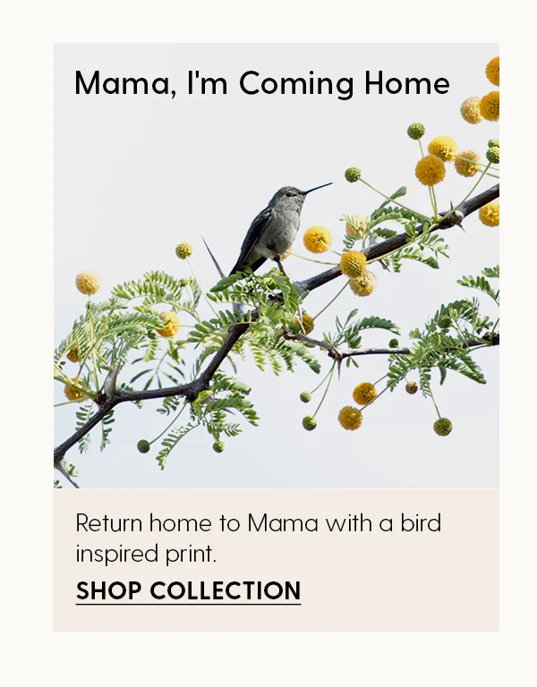 Mama, I'm Coming Home | Return home to Mama with a bird inspired print | Shop Collection