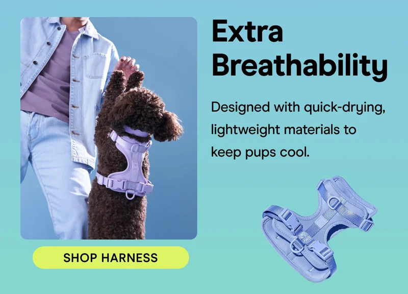 Extra Breathability Designed with quick-drying, lightweight materials to keep pups cool.