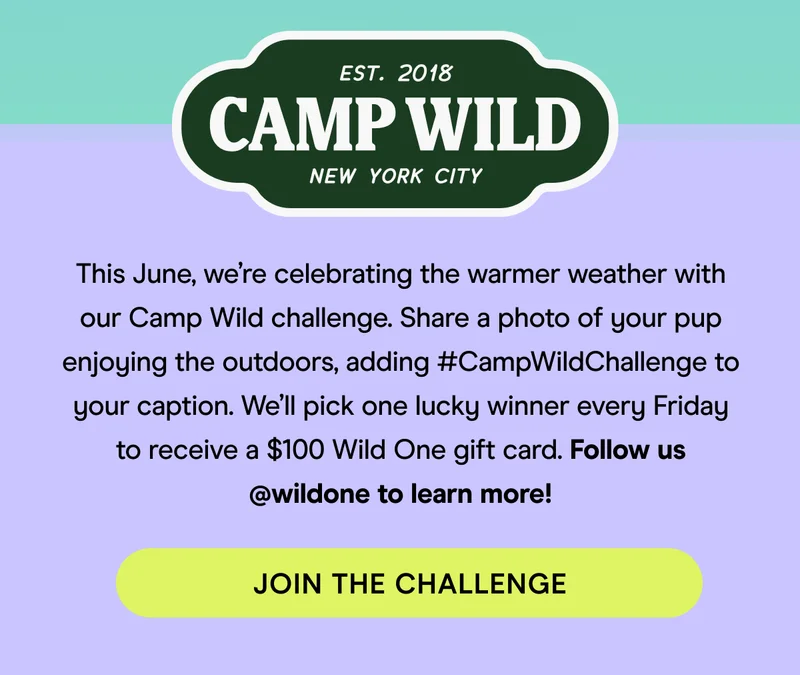 This June, we’re celebrating the warmer weather with our Camp Wild challenge. Share a photo of your pup enjoying the outdoors, adding #CampWildChallenge to your caption. We’ll pick one lucky winner every Friday to receive a $100 Wild One gift card. Follow us @wildone to learn more!