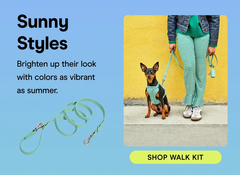 Sunny Styles Brighten up their look with colors as vibrant as summer.
