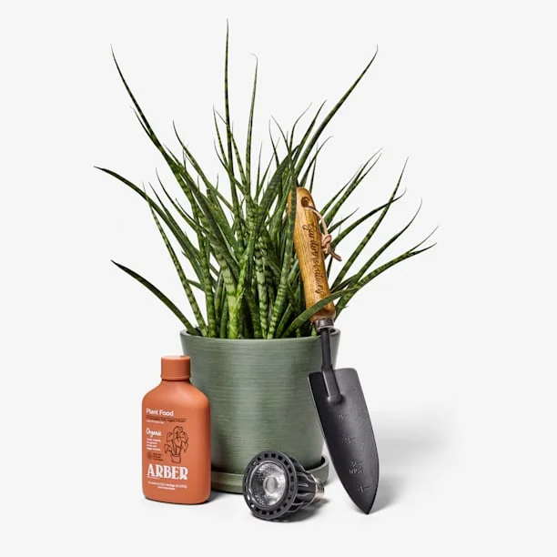 Botanical