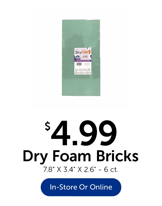 $4.99 Dry Foam Bricks - 6 ct.