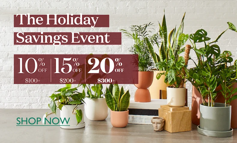 The Holiday Savings Event: 10% off $100+, 15% off $200+, and 20% off $300. Shop now.