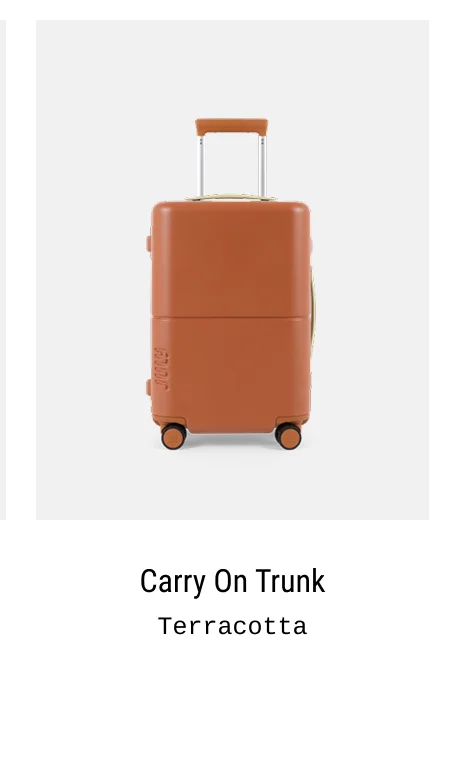 Carry On Trunk Terracotta